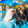 SeaWorld SAN ANTONIO 2025 Season Pass - Image 2