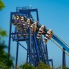SeaWorld SAN ANTONIO 2025 Season Pass - Image 4