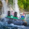 SeaWorld SAN ANTONIO 2025 Season Pass - Image 3