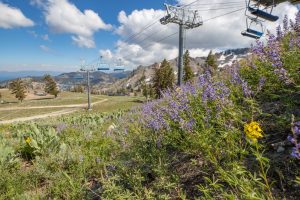 Palisades Tahoe Summer