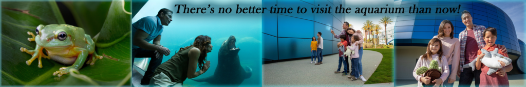 Aquarium of the Pacific