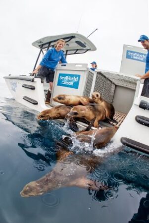 SeaWorld San Diego