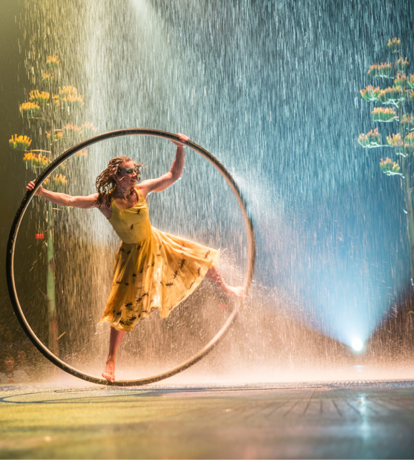 Cirque du Soleil LUZIA