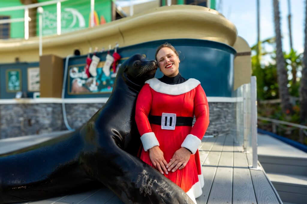 SeaWorld San Diego’s Christmas Celebration