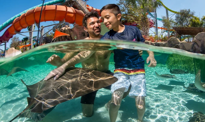 SeaWorld&reg; San Antonio