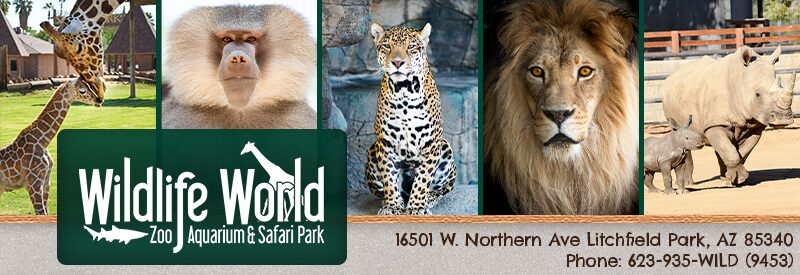 Wildlife World Zoo Aquarium and Safari Park