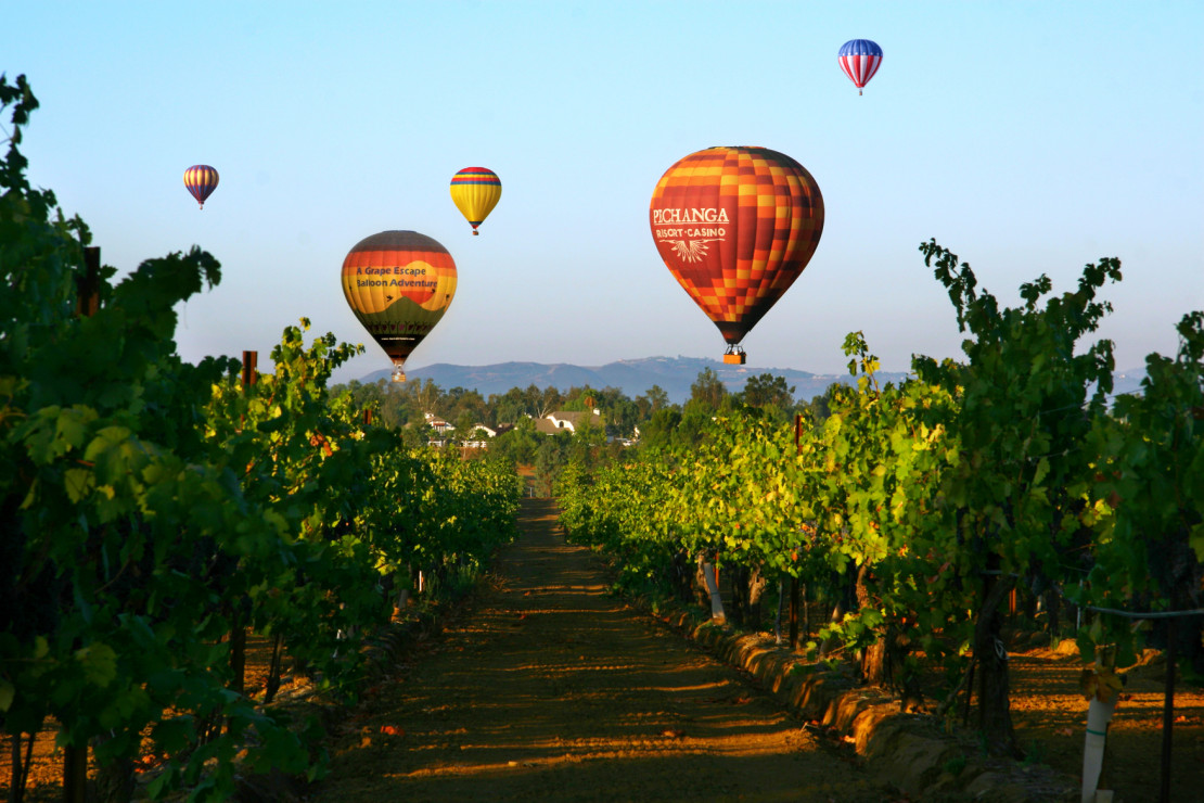 Distillery & Winery Tours